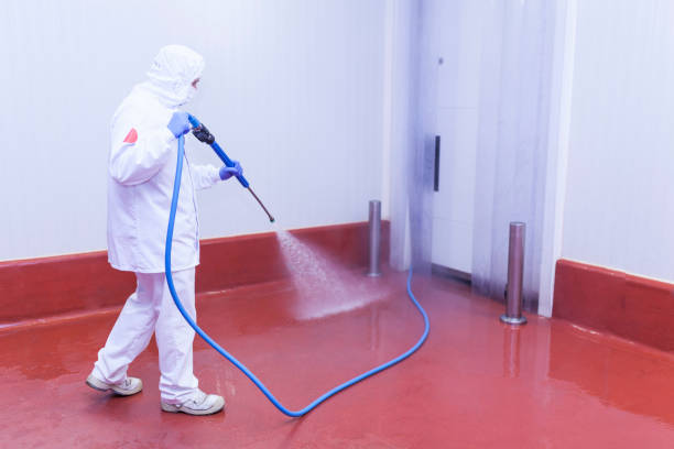 Best Pre-Holiday Cleaning  in Franklin Park, NJ