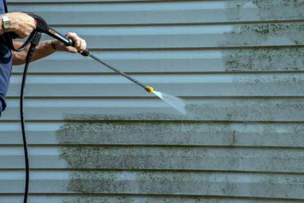 Best Gutter Cleaning  in Franklin Park, NJ